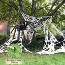 spider-web-halloween-decorations-outdoor-2.jpg