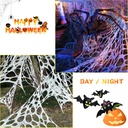 spider-web-halloween-decorations-outdoor-3.jpg