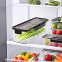 celery-keeper-for-refrigerator-celery-st-5.jpg