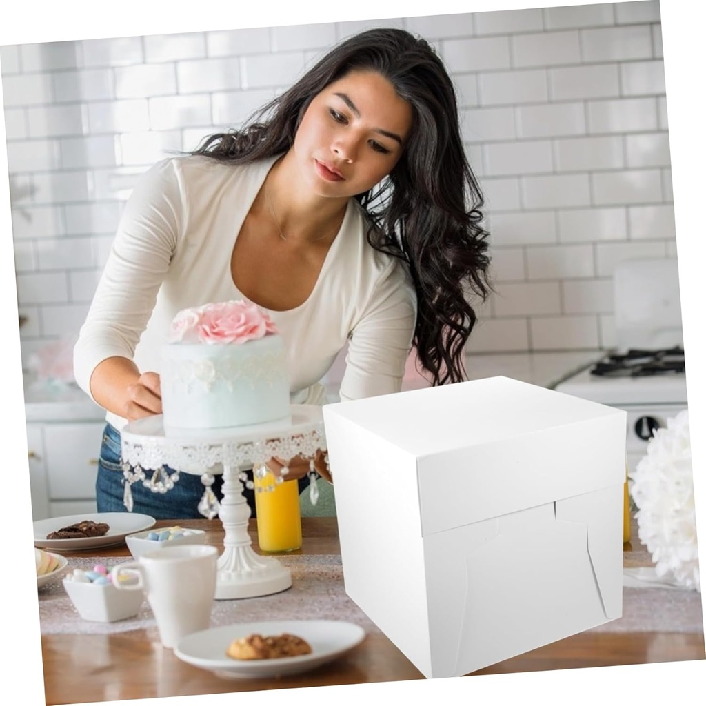 cake-box-lid-sturdy-cake-carrier-for-bir-2.jpg