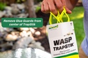 rescue-visilure-trapstik-for-wasps-mud-d-5.jpg