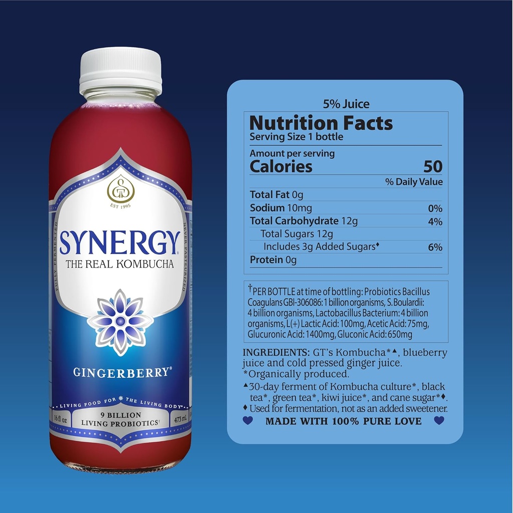 synergy-the-real-kombucha---gingerberry--2.jpg