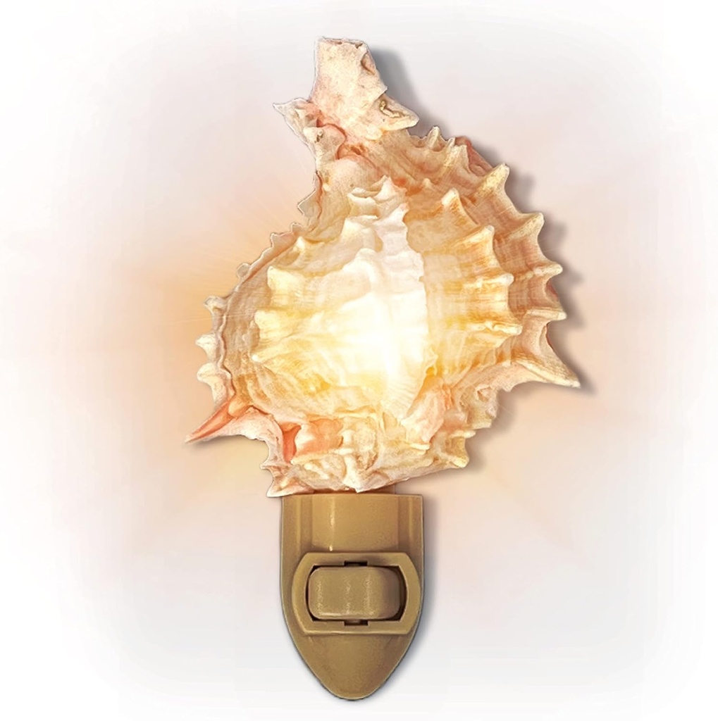 tumbler-home-shell-night-light-seashell--4.jpg