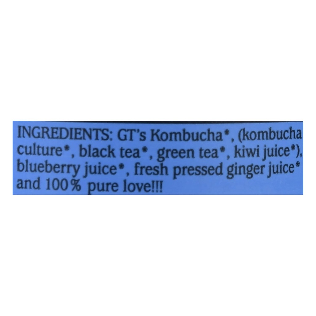 synergy-the-real-kombucha---gingerberry--3.jpg