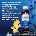 synergy-the-real-kombucha---gingerberry--4.jpg