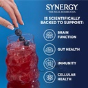 synergy-the-real-kombucha---gingerberry--6.jpg