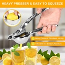 tezz-premium-lemon-squeezer-large-heavy--2.jpg