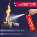 fire-extinguisher-for-vehicle-home-620ml-4.jpg