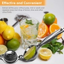 lemon-squeezer-with-zester-margarita-sal-4.jpg