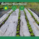 weed-barrier-34-x-50ft-natural-eco-frien-3.jpg