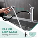 faustina-chrome-bathroom-faucet-with-pul-2.jpg