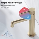 trustmi-brushed-gold-single-hole-bathroo-3.jpg