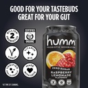humm-probiotic-kombucha-zero-sugar-varie-3.jpg
