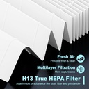 hpa200-replacement-filters-for-honeywell-3.jpg