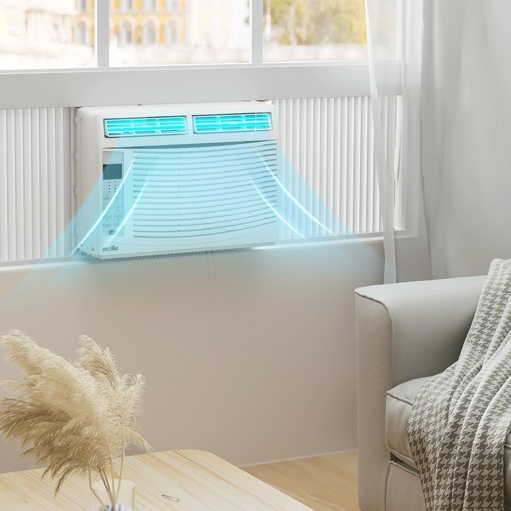 mollie-6000-btu-window-air-conditioner-a-3.jpg