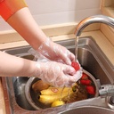 brandon-super-disposable-food-prep-glove-6.jpg