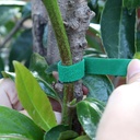 garden-tape-656-feet-12plant-tape-reusab-4.jpg