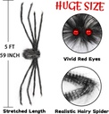 5-ft-giant-spider-halloween-decorations--2.jpg