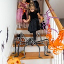 5-ft-giant-spider-halloween-decorations--6.jpg