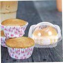 cabilock-50pcs-attractive-cupcake-muffin-4.jpg