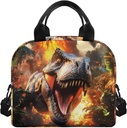 showudesigns-dinosaur-lunch-bag-for-kids-2.jpg