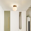 mid-century-semi-flush-ceiling-light-wit-2.jpg