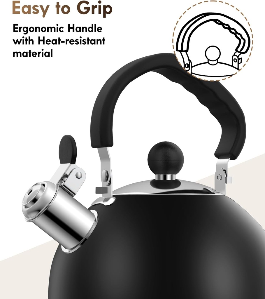 premium-stainless-steel-tea-kettle-for-s-4.jpg