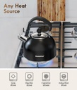 premium-stainless-steel-tea-kettle-for-s-5.jpg