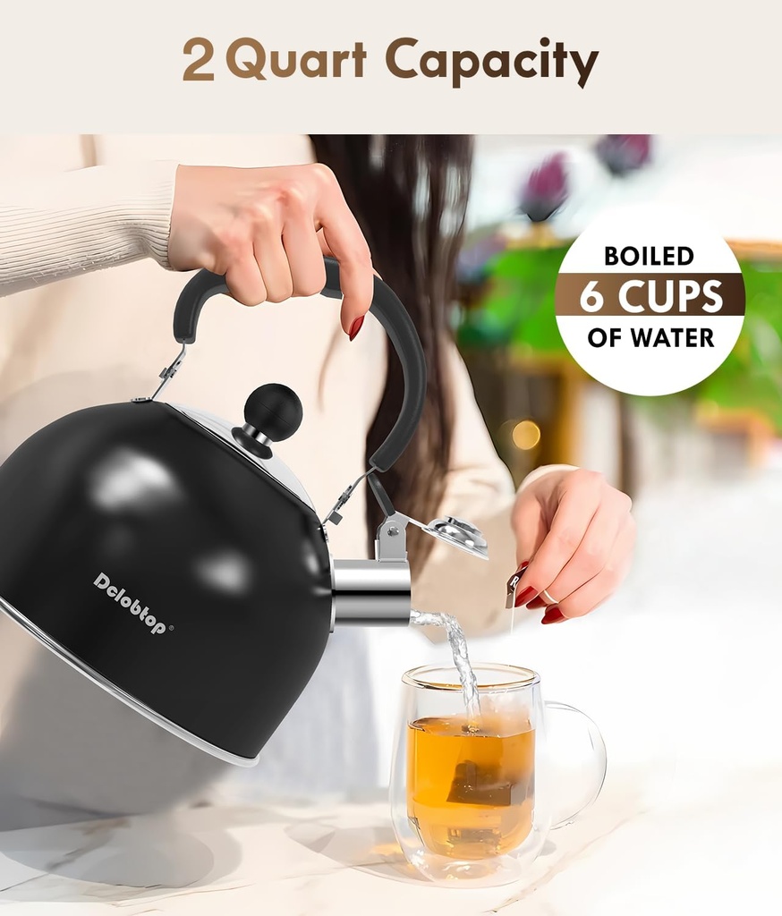 premium-stainless-steel-tea-kettle-for-s-6.jpg