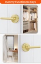 haidms-2-pieces-gold-dummy-door-handles--4.jpg