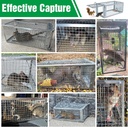 2-packs-humane-rat-trap-outdoor-wanqueen-6.jpg