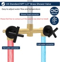 2-handle-shower-faucet-shower-system-com-4.jpg