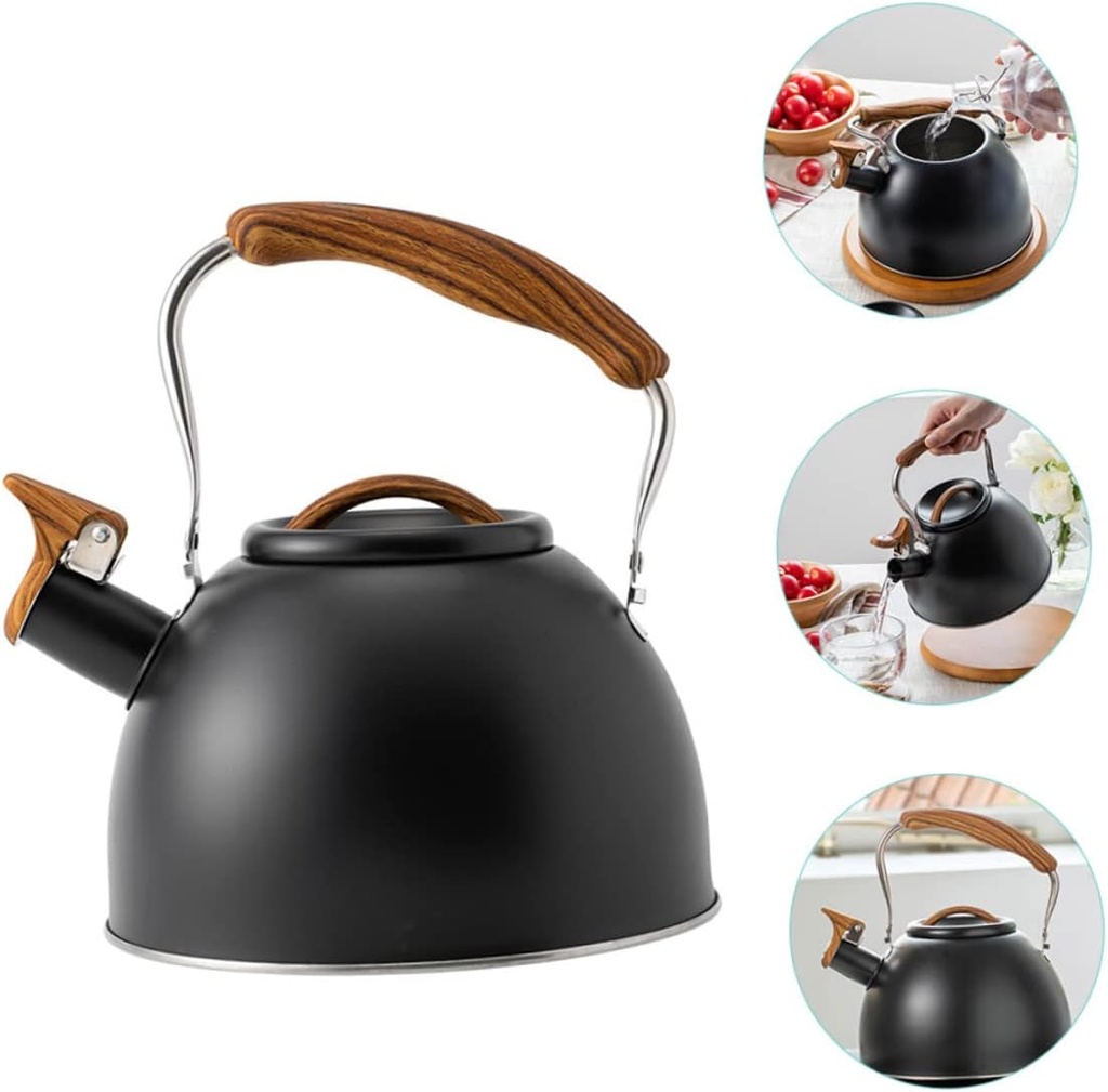 alipis-sounding-kettle-electric-tea-pot--4.jpg