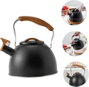 alipis-sounding-kettle-electric-tea-pot--4.jpg