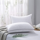 jollyvogue-pillows-queen-size-set-of-2-f-2.jpg