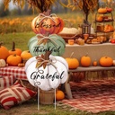 geetery-3-pcs-thanksgiving-pumpkin-outdo-6.jpg