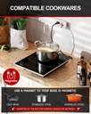 portable-induction-cooktop-hot-plate-cou-4.jpg