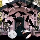18-pcs-halloween-crow-hanging-decoration-5.jpg