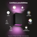 philips-hue-resonate-outdoor-smart-wall--4.jpg