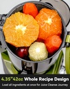 rush-clear-cold-press-juicer-slow-juicer-4.jpg