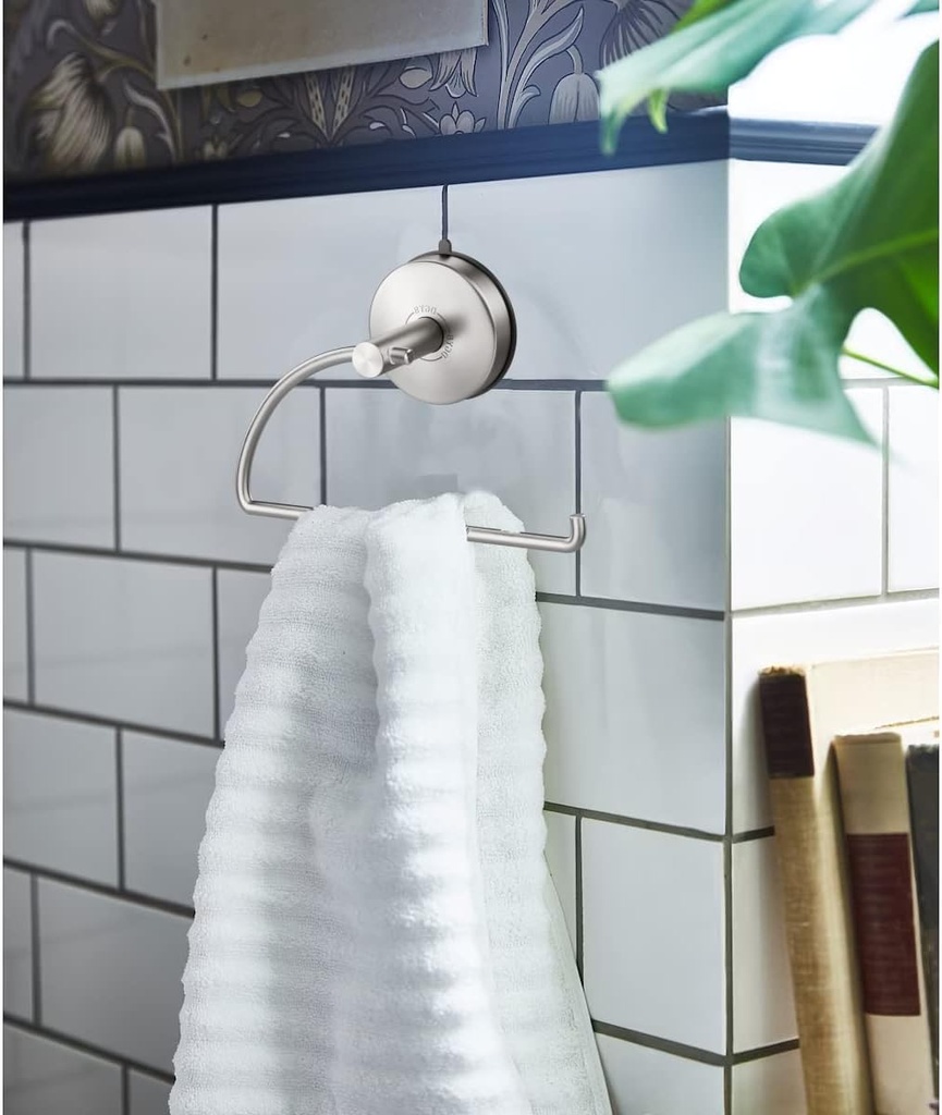 dgyb-suction-cup-hand-towel-ring-brushed-3.jpg