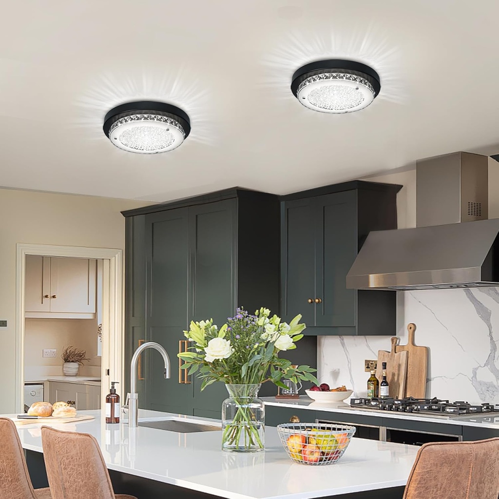 ceiling-light-black-crystal-flush-mount--4.jpg