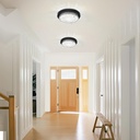 ceiling-light-black-crystal-flush-mount--5.jpg