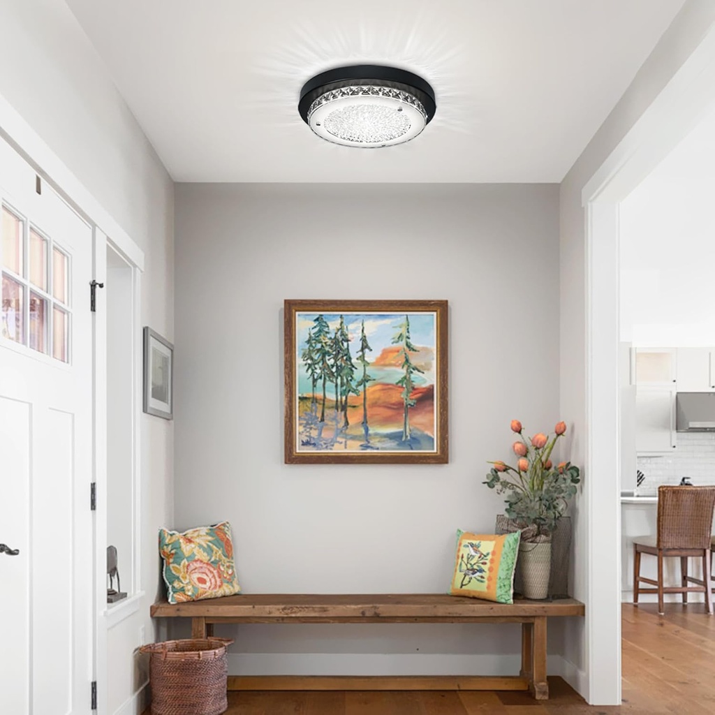 ceiling-light-black-crystal-flush-mount--6.jpg