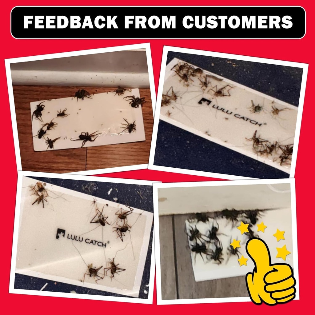 lulucatch-cricket-insect-glue-traps---6--6.jpg