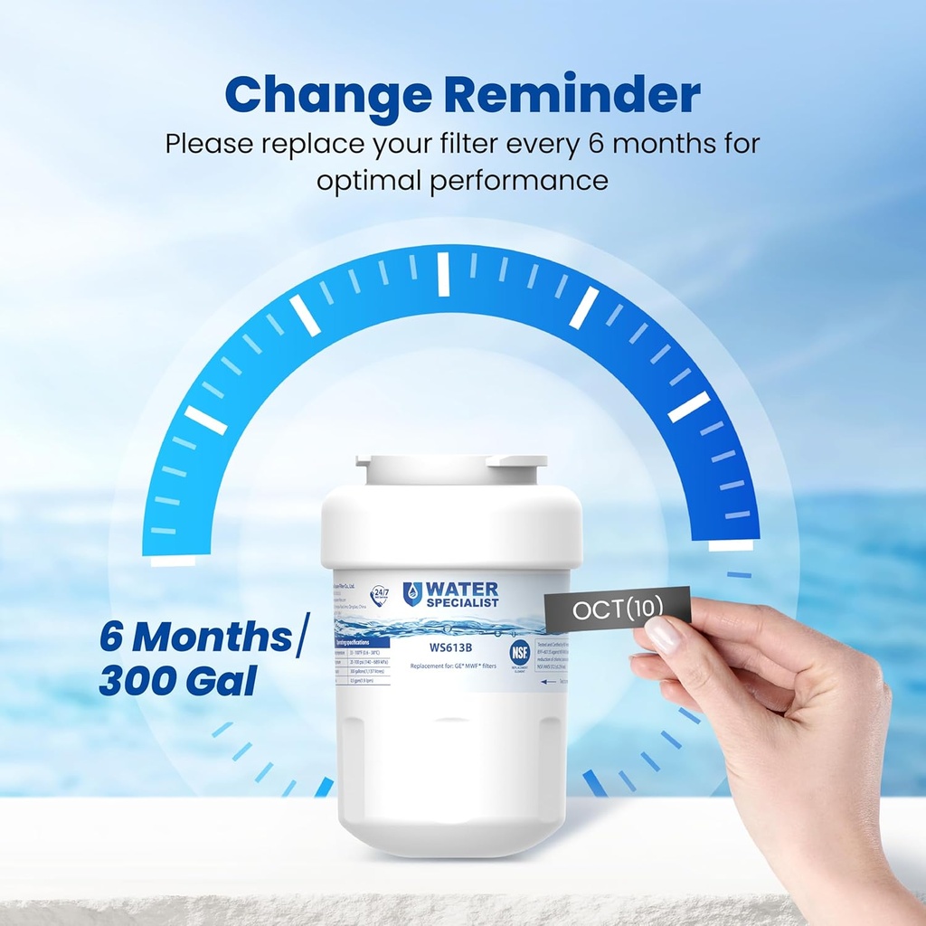 waterspecialist-ws613b-replacement-for-m-6.jpg