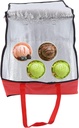 insulated-catering-bag-portable-pizza-de-4.jpg