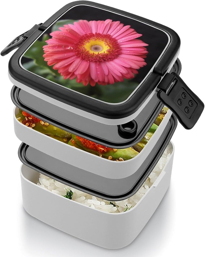 bento-box-for-adult-flower-gerbera-bento-5.jpg