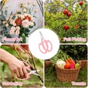 3pcs-garden-scissors-floral-shears-premi-5.jpg
