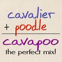 cafepress-cavapoo-perfect-mix-tote-bag-n-2.jpg